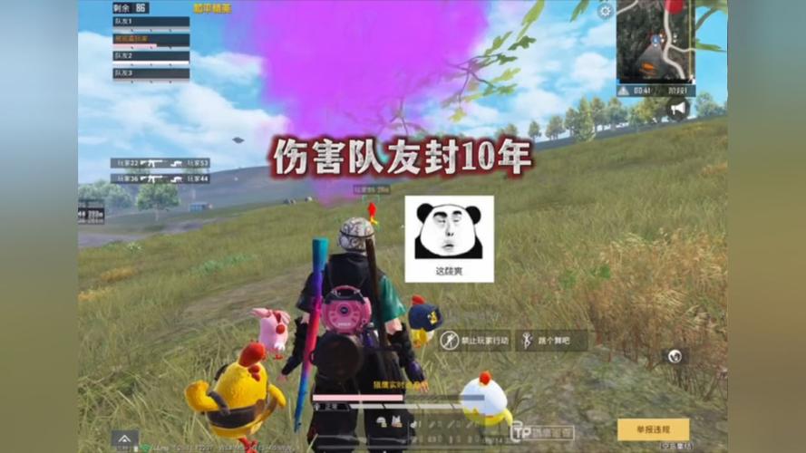 和平精英引擎直装【鹤童】发布:稳定无卡顿,观透与自瞄功能一应俱全